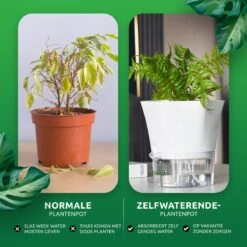 SKYARD® 3 Stuks Zelfwaterende Bloempot Maat M – Milieuvriendelijk Watergeefsysteem Kamerplanten – Zelfwatergevende Pot – Bloempot Met Waterreservoir – Selfwatering Pot – Wit -Buitentuinwinkel 1200x1200 1067