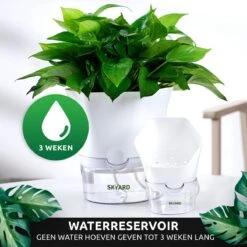 SKYARD® 3 Stuks Zelfwaterende Bloempot Maat M – Milieuvriendelijk Watergeefsysteem Kamerplanten – Zelfwatergevende Pot – Bloempot Met Waterreservoir – Selfwatering Pot – Wit -Buitentuinwinkel 1200x1200 1071