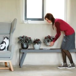 Elho Floorprotector Rond 25 - Accessoires Voor Binnen - Ø 25.0 X H 1.5 Cm - Transparant/Transparant -Buitentuinwinkel 1200x1200 1076