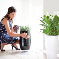 Elho Floorprotector Rond 25 - Accessoires Voor Binnen - Ø 25.0 X H 1.5 Cm - Transparant/Transparant -Buitentuinwinkel 1200x1200 1077