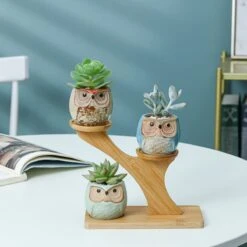 Luxe Bamboe Houten Boom Met 3 Keramiek Uil Bloempotten/Plantenpotten Op Standaard/Voet Voor Binnen En Buiten - Modern Design Bloempot/Plantenpot Op Poten/Pootjes-Plantenbak Mini Cactus Nep Plant Pot Houder - Kleine Bloembakken Plantenrek/Plantenkurk -Buitentuinwinkel 1200x1200 1085