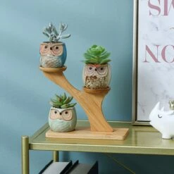 Luxe Bamboe Houten Boom Met 3 Keramiek Uil Bloempotten/Plantenpotten Op Standaard/Voet Voor Binnen En Buiten - Modern Design Bloempot/Plantenpot Op Poten/Pootjes-Plantenbak Mini Cactus Nep Plant Pot Houder - Kleine Bloembakken Plantenrek/Plantenkurk -Buitentuinwinkel 1200x1200 1086