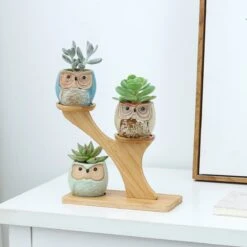 Luxe Bamboe Houten Boom Met 3 Keramiek Uil Bloempotten/Plantenpotten Op Standaard/Voet Voor Binnen En Buiten - Modern Design Bloempot/Plantenpot Op Poten/Pootjes-Plantenbak Mini Cactus Nep Plant Pot Houder - Kleine Bloembakken Plantenrek/Plantenkurk -Buitentuinwinkel 1200x1200 1087