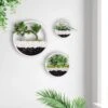 Loodi - Wand Decoratie - Ronde Stijlvolle Muur Plantenbak - Wit - 40x40x7cm 2 Loodi - Wand Decoratie - Ronde Stijlvolle Muur Plantenbak - Wit - 40x40x7cm -Buitentuinwinkel 1200x1200 1097