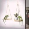 Merkloos Plantenhanger Boomstam Schijf | 30-35cm | Handgemaakt | Planten-houder / Hang-plant | Planten Accessoires | Decoratie Houten Hang Plank | 2 Merkloos Plantenhanger Boomstam Schijf | 30-35cm | Handgemaakt | Planten-houder / Hang-plant | Planten Accessoires | Decoratie Houten Hang Plank | -Buitentuinwinkel 1200x1200 1099