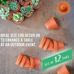 Garden Mania - 12 Mini Terracotta Keramische Klei Bloempotten Met Afvoergat, 8cm -Buitentuinwinkel 1200x1200 1103