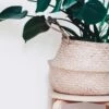 Plantenmand 35x35cm Naturel Extra Groot | Multifunctionele Mand | Handgemaakt | Planten-houder | Planten Accessoires | Planten Mand -Buitentuinwinkel 1200x1200 1104