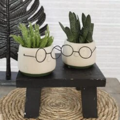 2x Bloempot Met Gezicht - Ø8 X H6,5 Cm - Bloempotten Voor Binnen Met Bril/Face/Hoofd -Buitentuinwinkel 1200x1200 1117