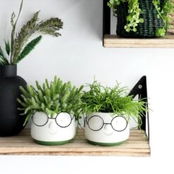2x Bloempot Met Gezicht - Ø8 X H6,5 Cm - Bloempotten Voor Binnen Met Bril/Face/Hoofd -Buitentuinwinkel 1200x1200 1118