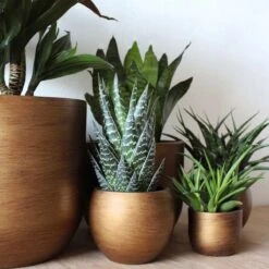 Capi Europe - Vaas Bol Retro - 30x25 - Goud - Bloempot Voor Binnen - BRTG104 -Buitentuinwinkel 1200x1200 1152