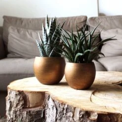 Capi Europe - Vaas Bol Retro - 30x25 - Goud - Bloempot Voor Binnen - BRTG104 -Buitentuinwinkel 1200x1200 1153