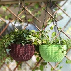 Hangpot Kunststof – Bloempot Hangend – Binnen & Buiten- Plantenhanger –Incl. Afvoerstop – 26 Cm - Zwart 11 Hangpot Kunststof – Bloempot Hangend – Binnen & Buiten- Plantenhanger –Incl. Afvoerstop – 26 Cm - Zwart -Buitentuinwinkel 1200x1200 1155