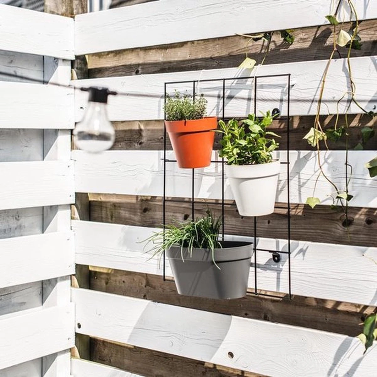 Elho Loft Urban Green Wall Rek 48 - Accessoires Voor Buiten - Ø 47.3 X H 59.0 Cm - Zwart/Living Black 5 Elho Loft Urban Green Wall Rek 48 - Accessoires Voor Buiten - Ø 47.3 X H 59.0 Cm - Zwart/Living Black - Afbeelding 4