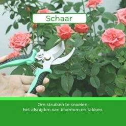 Djambo Tuingereedschap Set 8-delig Tuinsetje Met 15 Unieke Bamboe Plantetiketten In 1 Draagtas - Compleet Tuingereedschap Voor De Tuinliefhebbers -Buitentuinwinkel 1200x1200 1208