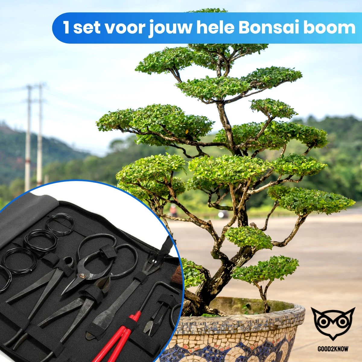 Good2know Bonsai Gereedschap Set – 16 Delig – Bonsai Starters Kit – Bonsai Boompje Verzorgingskit - Tuingereedschap 7 Good2know Bonsai Gereedschap Set – 16 Delig – Bonsai Starters Kit – Bonsai Boompje Verzorgingskit - Tuingereedschap - Afbeelding 5