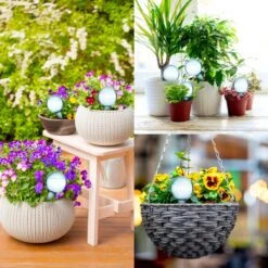 Druppelsysteem 12 Stuks Waterdruppelaar Voor Planten - Waterafgiftesysteem Voor 2 Weken - Beregening Voor Kamerplanten 15 Druppelsysteem 12 Stuks Waterdruppelaar Voor Planten - Waterafgiftesysteem Voor 2 Weken - Beregening Voor Kamerplanten -Buitentuinwinkel 1200x1200 162