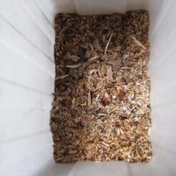 Gardebruk Hakselaar Elektrisch 2800W - 45mm Takdikte - Opvangbak 60 L -Buitentuinwinkel 1200x1200 1661