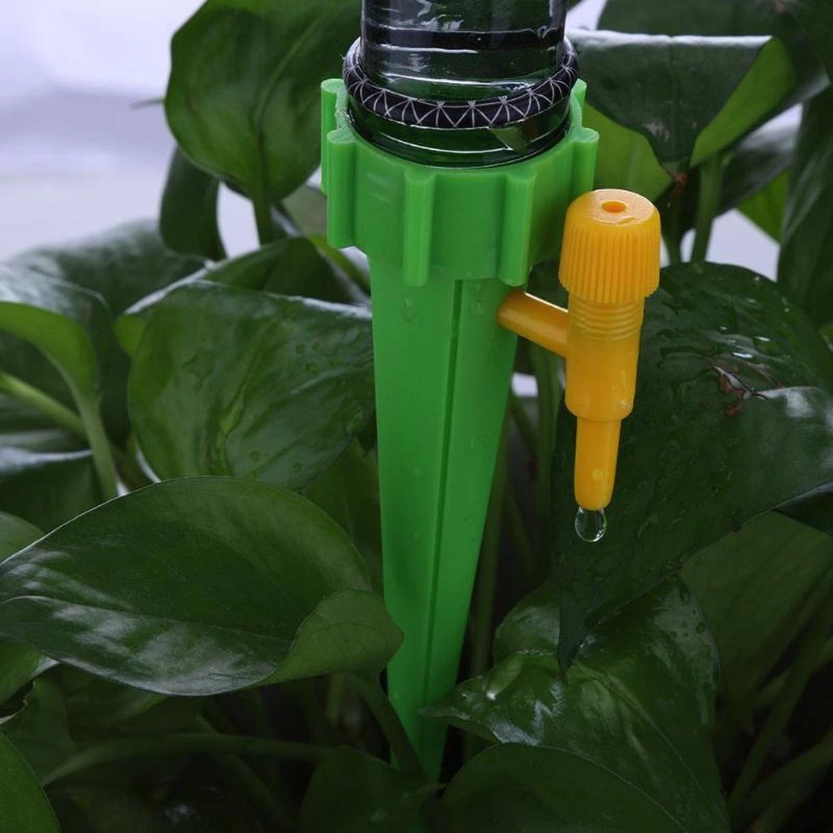 12 Stuks Plant Bewateringssysteem | Waterdruppelaar | Druppelsysteem |Bewateringssysteem | Bewateringsyteem Watergeefsysteem | Plantenbol | Automatische Gieter | Water Druppelaar | Druppel Systeem | Water Geef Systeem | Plantenbol | 8 12 Stuks Plant Bewateringssysteem | Waterdruppelaar | Druppelsysteem |Bewateringssysteem | Bewateringsyteem Watergeefsysteem | Plantenbol | Automatische Gieter | Water Druppelaar | Druppel Systeem | Water Geef Systeem | Plantenbol | - Afbeelding 6