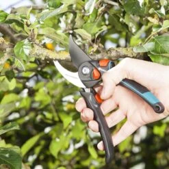 GARDENA - Comfort B/S-XL Bypass - Snoeischaar - Ø 24 Mm - 25 Jaar Garantie -Buitentuinwinkel 1200x1200 1743