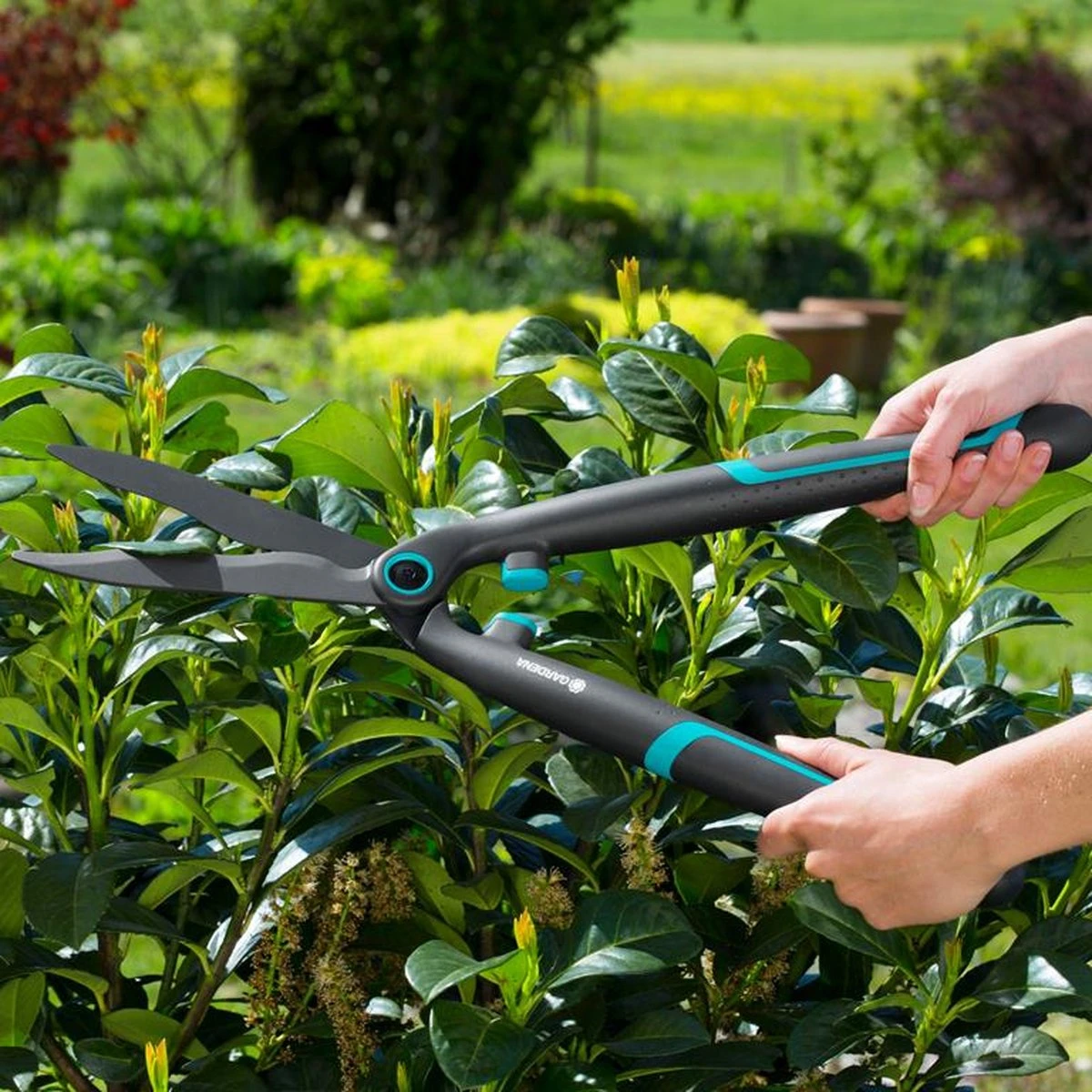 GARDENA - EasyCut - Heggenschaar - Extra Licht Van Gewicht 12 GARDENA - EasyCut - Heggenschaar - Extra Licht Van Gewicht - Afbeelding 10