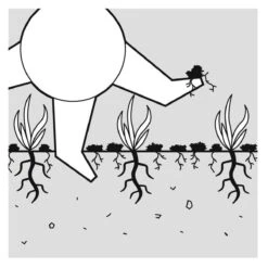 GARDENA EVC 1000 Verticuteermachine - Werkbreedte 30 Cm - Werkgebied 600m2 -Buitentuinwinkel 1200x1200 1832