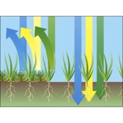 GARDENA EVC 1000 Verticuteermachine - Werkbreedte 30 Cm - Werkgebied 600m2 -Buitentuinwinkel 1200x1200 1833