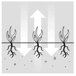 GARDENA EVC 1000 Verticuteermachine - Werkbreedte 30 Cm - Werkgebied 600m2 -Buitentuinwinkel 1200x1200 1834