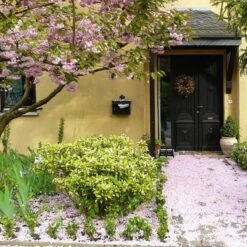 Talen Tools - Voetenveger - Dubbel - Harde Kunststof Borstels 12 Talen Tools - Voetenveger - Dubbel - Harde Kunststof Borstels -Buitentuinwinkel 1200x1200 1975