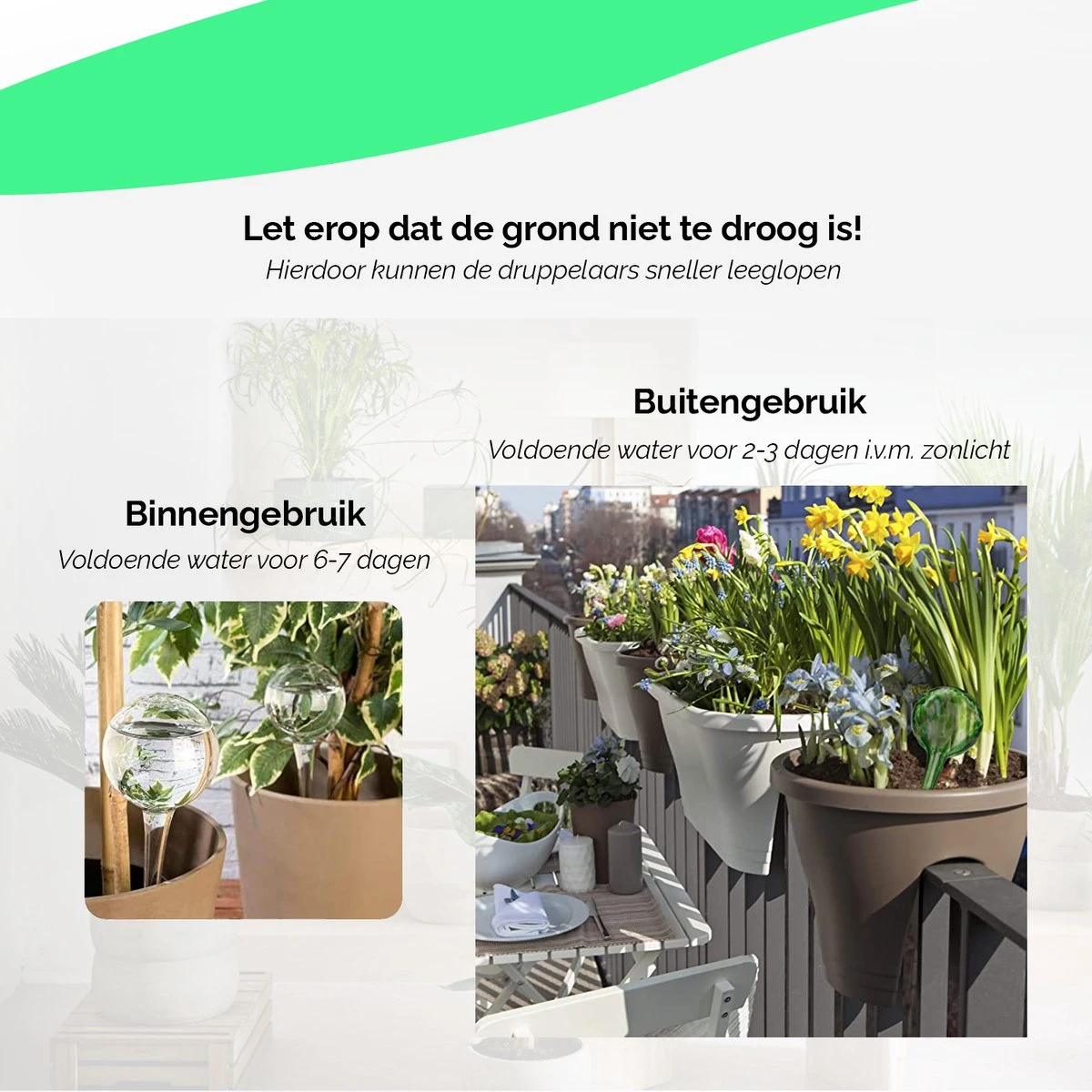HGMD Waterdruppelaar Set Van 8 Stuks Voor Planten Transparant - Blauw - Waterdruppelaar Voor Kamerplanten – Waterbol - Waterdruppelaar Voor Planten - Watergeefsysteem 7 HGMD Waterdruppelaar Set Van 8 Stuks Voor Planten Transparant - Blauw - Waterdruppelaar Voor Kamerplanten – Waterbol - Waterdruppelaar Voor Planten - Watergeefsysteem - Afbeelding 5