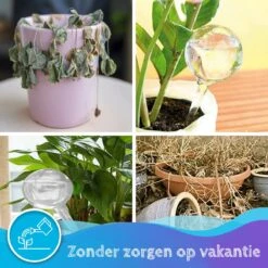 Summer Spark Waterdruppelaar Voor Planten 6 Stuks Transparant – 27 CM X 8 CM – 250 ML – Automatisch Watergeefsysteem Voor Kamerplanten – Planten Watergever Met Druppelsysteem – Waterbol 12 Summer Spark Waterdruppelaar Voor Planten 6 Stuks Transparant – 27 CM X 8 CM – 250 ML – Automatisch Watergeefsysteem Voor Kamerplanten – Planten Watergever Met Druppelsysteem – Waterbol -Buitentuinwinkel 1200x1200 240