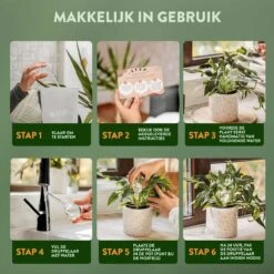 STFF & Co® Waterdruppelaar Voor Planten – Irrigatiesysteem Automatisch Watergeefsysteem – Waterbollen Voor Planten – Bewateringssysteem – 8 Stuks - 5cm -Buitentuinwinkel 1200x1200 281