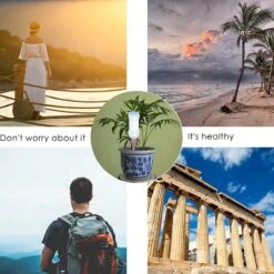 BOTC Waterdruppelaar Set Van 6 Stuks Voor Planten - Watergeefsysteem -Buitentuinwinkel 1200x1200 335