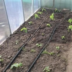 Druppelslang Actiepakket 100 Meter - Leidingshop 7 Druppelslang Actiepakket 100 Meter - Leidingshop -Buitentuinwinkel 1200x1200 351