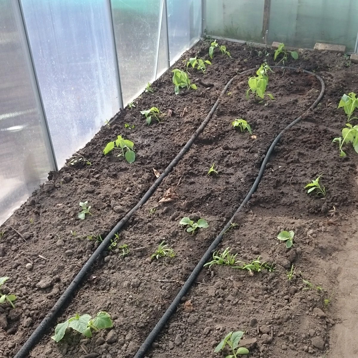 Druppelslang Actiepakket 100 Meter - Leidingshop 5 Druppelslang Actiepakket 100 Meter - Leidingshop - Afbeelding 3