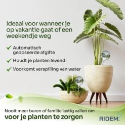Waterdruppelaar Voor Planten - Irrigatiesysteem- Waterbol - Druppelsysteem - Watergeefsysteem Voor Kamerplanten - Plantenwatergever -6 Stuks - Transparant -Buitentuinwinkel 1200x1200 355