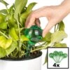 Merkloos Decopatent® 4 Stuks - Waterdruppelaar Voor Planten - Watergever - Glas - Waterbollen - Watergeefsysteem - Plantenbollen - Groen 1 Merkloos Decopatent® 4 Stuks - Waterdruppelaar Voor Planten - Watergever - Glas - Waterbollen - Watergeefsysteem - Plantenbollen - Groen -Buitentuinwinkel 1200x1200 376