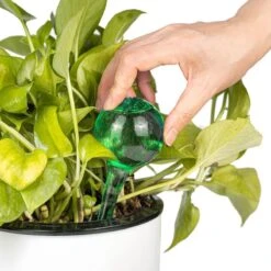 Merkloos Decopatent® 4 Stuks - Waterdruppelaar Voor Planten - Watergever - Glas - Waterbollen - Watergeefsysteem - Plantenbollen - Groen -Buitentuinwinkel 1200x1200 378