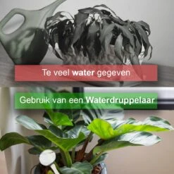 Waterdruppelaar Set Van 6 Stuks - Waterdruppelaar Voor Planten - Watergeefsysteem - Waterbol Irrigatiesysteem - Automatisch Druppelsysteem Voor Kamerplanten & Tuin - Watergever - Doorzichtig - 15cm 15 Waterdruppelaar Set Van 6 Stuks - Waterdruppelaar Voor Planten - Watergeefsysteem - Waterbol Irrigatiesysteem - Automatisch Druppelsysteem Voor Kamerplanten & Tuin - Watergever - Doorzichtig - 15cm -Buitentuinwinkel 1200x1200 384