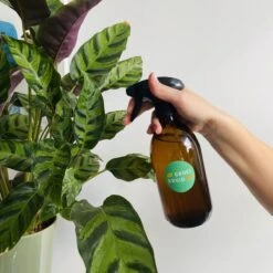 Groeikruid® Plantenspuit | 500 Ml Amber Glas | Met Zwarte Spraykop | Plantensproeier Binnen | Waterverstuiver | Verstuiver | Waterspuit -Buitentuinwinkel 1200x1200 405