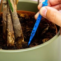 Woonaccessoires- Automatisch Watergeef Systeem | Plantenwaterer - Life Support Irrigatieapparaat | Druppelaar Kamerplanten - | Planten Watergever Met Druppelsysteem 350ml -Buitentuinwinkel 1200x1200 41