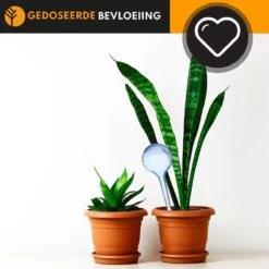 Waterdruppelaar Blauw Set Van 6 Stuks Voor Planten – 27 CM – Automatisch Watergeefsysteem Voor Kamerplanten – Planten Watergever Met Druppelsysteem – Waterbol 10 Waterdruppelaar Blauw Set Van 6 Stuks Voor Planten – 27 CM – Automatisch Watergeefsysteem Voor Kamerplanten – Planten Watergever Met Druppelsysteem – Waterbol -Buitentuinwinkel 1200x1200 426