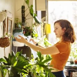 Allsa Mist Verstuiver - Mist Sprayer - Planten Spuit - Continuous Spray - Zwart 13 Allsa Mist Verstuiver - Mist Sprayer - Planten Spuit - Continuous Spray - Zwart -Buitentuinwinkel 1200x1200 464