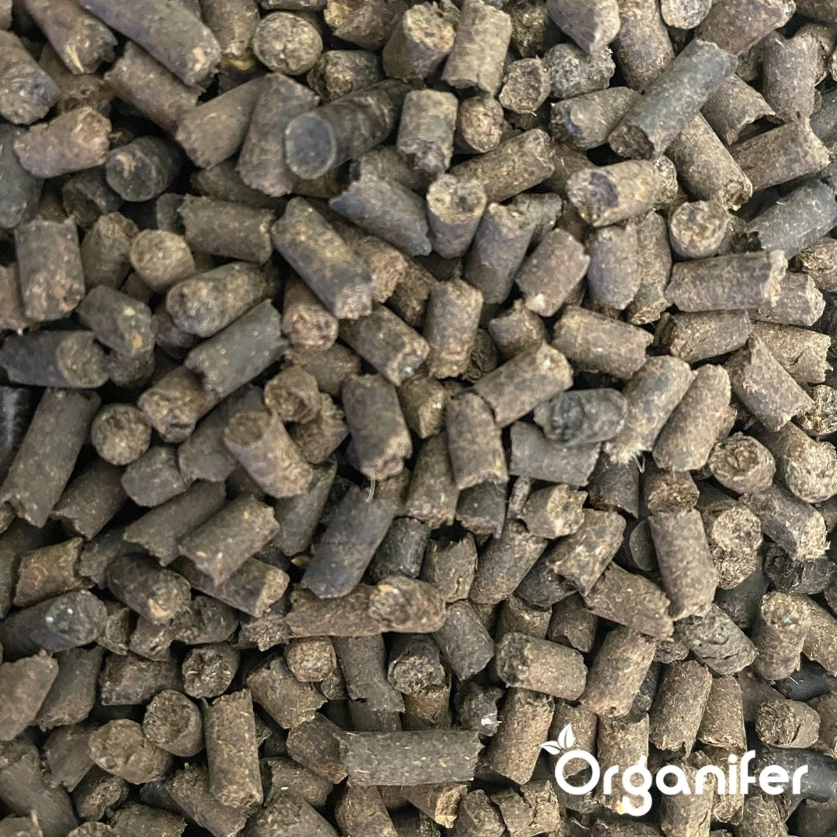 Koemestkorrels 3in1 (20Kg Voor 200m2) Allround Organische Meststof - Direct Opneembare Voeding - Langdurige Werking > 120 Dagen - Geurloos - Verbeterd Bodem - Lavameel Toevoeging - Versterkt Gras En Planten - Organifer 4 Koemestkorrels 3in1 (20Kg Voor 200m2) Allround Organische Meststof - Direct Opneembare Voeding - Langdurige Werking > 120 Dagen - Geurloos - Verbeterd Bodem - Lavameel Toevoeging - Versterkt Gras En Planten - Organifer - Afbeelding 2