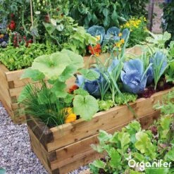 Koemestkorrels 3in1 (20Kg Voor 200m2) Allround Organische Meststof - Direct Opneembare Voeding - Langdurige Werking > 120 Dagen - Geurloos - Verbeterd Bodem - Lavameel Toevoeging - Versterkt Gras En Planten - Organifer 16 Koemestkorrels 3in1 (20Kg Voor 200m2) Allround Organische Meststof - Direct Opneembare Voeding - Langdurige Werking > 120 Dagen - Geurloos - Verbeterd Bodem - Lavameel Toevoeging - Versterkt Gras En Planten - Organifer -Buitentuinwinkel 1200x1200 500