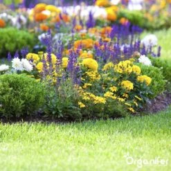 Koemestkorrels 3in1 (20Kg Voor 200m2) Allround Organische Meststof - Direct Opneembare Voeding - Langdurige Werking > 120 Dagen - Geurloos - Verbeterd Bodem - Lavameel Toevoeging - Versterkt Gras En Planten - Organifer 18 Koemestkorrels 3in1 (20Kg Voor 200m2) Allround Organische Meststof - Direct Opneembare Voeding - Langdurige Werking > 120 Dagen - Geurloos - Verbeterd Bodem - Lavameel Toevoeging - Versterkt Gras En Planten - Organifer -Buitentuinwinkel 1200x1200 502