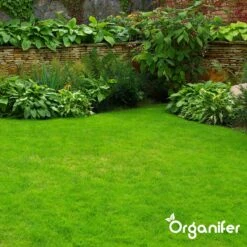 IJzersulfaat Meststof – Mos Verwijderaar – 5kg -Voor 250m2 (organifer) -Buitentuinwinkel 1200x1200 516