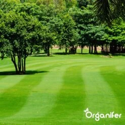 IJzersulfaat Meststof – Mos Verwijderaar – 5kg -Voor 250m2 (organifer) -Buitentuinwinkel 1200x1200 520