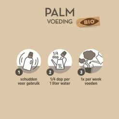 Pokon Bio Palm Voeding - 250ml - Plantenvoeding (bio) - 7ml Per 1L Water 11 Pokon Bio Palm Voeding - 250ml - Plantenvoeding (bio) - 7ml Per 1L Water -Buitentuinwinkel 1200x1200 529