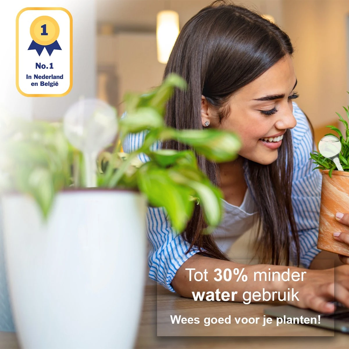 Waterdruppelaar Set Van 12 Stuks - Waterdruppelaar Voor Planten - Watergeefsysteem - Waterbol Irrigatiesysteem - Automatisch Druppelsysteem Voor Kamerplanten & Tuin - Watergever - Transparant - 15cm 4 Waterdruppelaar Set Van 12 Stuks - Waterdruppelaar Voor Planten - Watergeefsysteem - Waterbol Irrigatiesysteem - Automatisch Druppelsysteem Voor Kamerplanten & Tuin - Watergever - Transparant - 15cm - Afbeelding 2