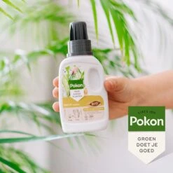 Pokon Bio Palm Voeding - 250ml - Plantenvoeding (bio) - 7ml Per 1L Water 13 Pokon Bio Palm Voeding - 250ml - Plantenvoeding (bio) - 7ml Per 1L Water -Buitentuinwinkel 1200x1200 530